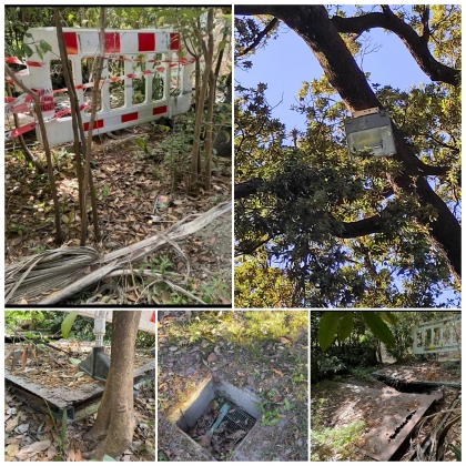 Scafati, Santocchio: “Villa comunale nel degrado”