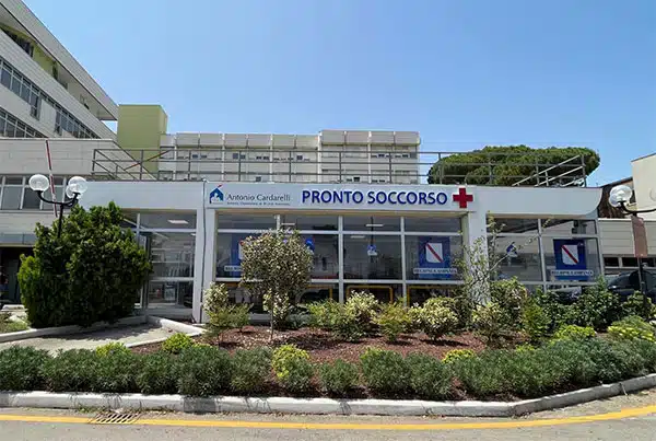 In Campania psicosi da ragno violino, decine di telefonate al pronto soccorso