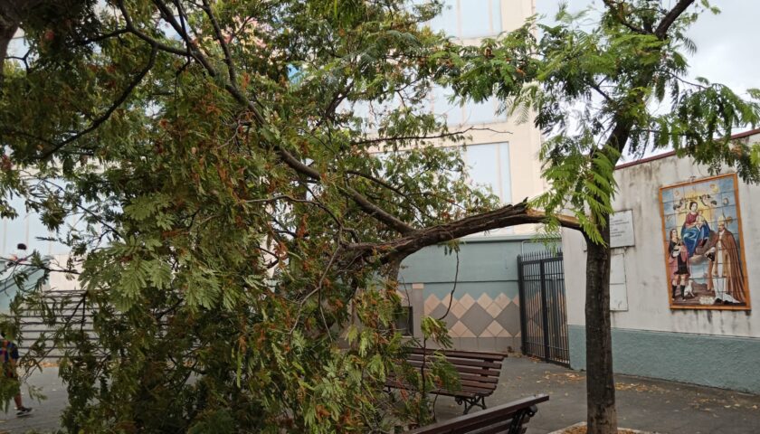 Salerno, vento provoca caduta di un ramo nei pressi di una Chiesa: tragedia sfiorata a Mercatello