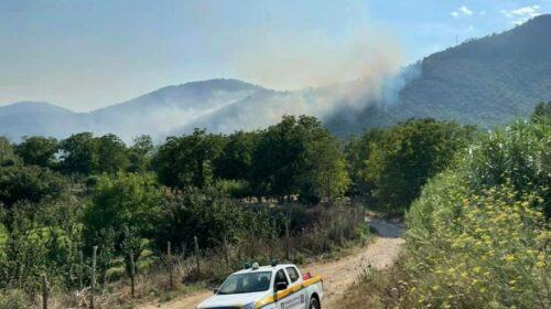 Incendio a Nocera Superiore, il sindaco: “Atto vile e criminale, daremo una caccia spietata ai responsabili”