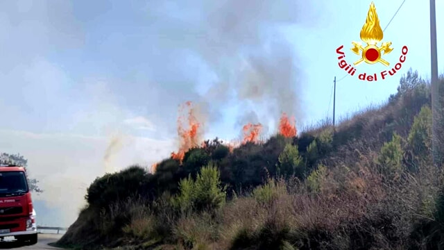 Incendio tra Castellabate e Perdifumo, a fuoco ettari di vegetazione