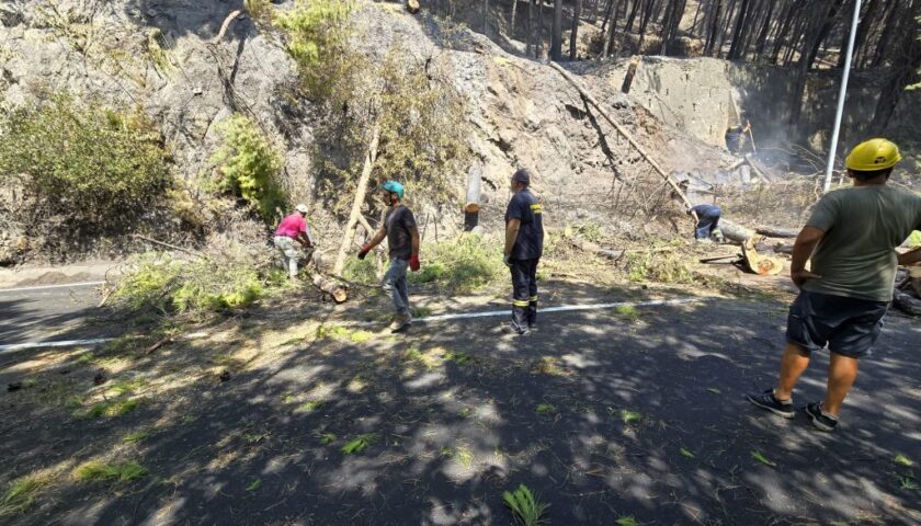 Salerno, incendio sul Monte Bonadies: riaperta via fra Generoso