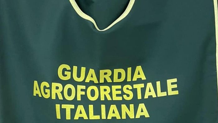 Sorpreso a gettare rifiuti nel Tanagro, denunciato