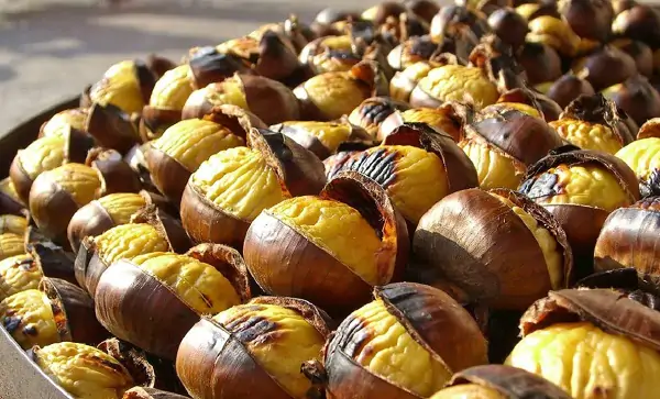 Castagne: Coldiretti Salerno, sarà anno positivo ma resta incognita meteo