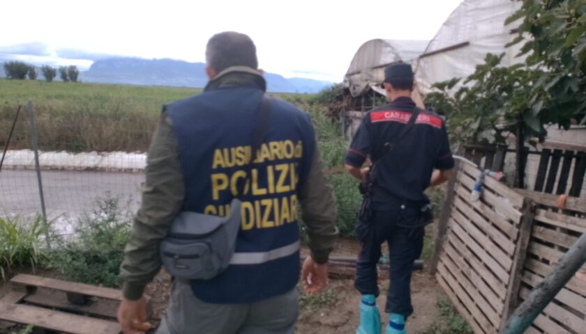 CAPACCIO: SMALTIMENTO ILLECITO DI REFLUI ZOOTECNICI ALL’INTERNO DEI CANALI CONSORTILI, DENUNCIATO TITOLARE ALLEVAMENTO MAIALI