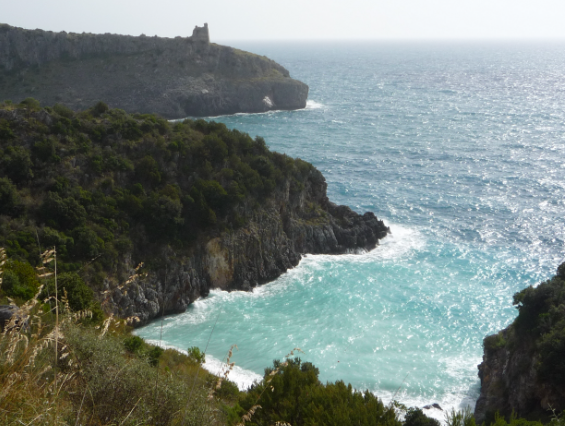 Reati ambientali sulle coste, Campania maglia nera