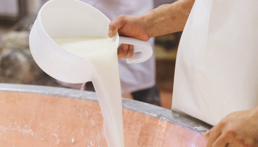 Oltre cento allevatori all’assemblea pubblica di Copagri Campania ad Eboli contro la diminuzione del prezzo alla stalla del latte