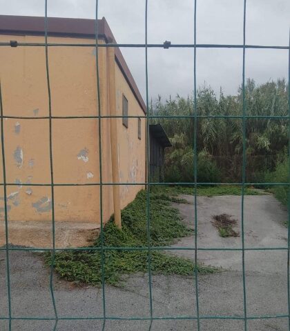 Mercato San Severino. Canile gestito dall’ Asl ancona chiuso e abbandonato, Romano contro l’amministrazione