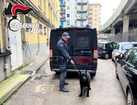 Hashish a scuola: operazione dei carabinieri a Nocera Inferiore