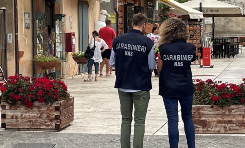 Operazione dei carabinieri del Nas: sequestri, diffide e sanzioni per 14 attività commerciali