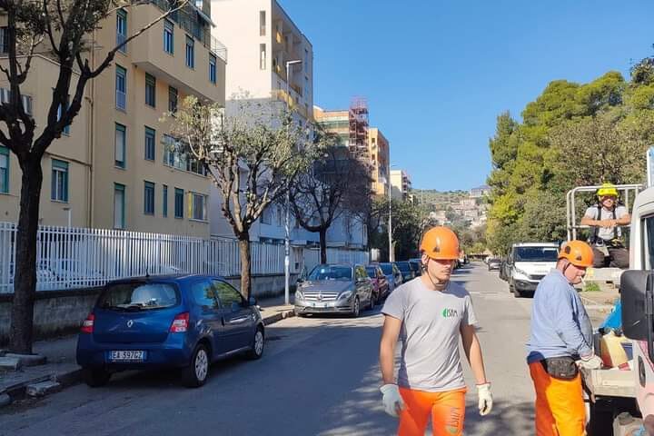 Salerno, completata potatura e potenziato l’impianto di illuminazione in  via Di Palo