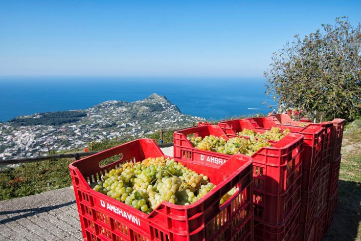 VACANZE FUORI STAGIONE: COLDIRETTI, UNDICI MILIONI DI PRESENZE IN CAMPAGNA