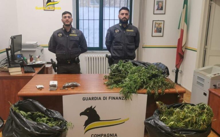 Cava de’ Tirreni, scoperto con droga coltivata: incensurato arrestato e condannato