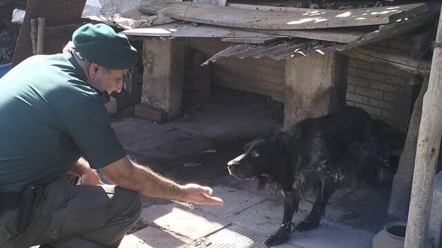 Detenzione e custodia illegale di cani, sanzioni a Cava de’ Tirreni