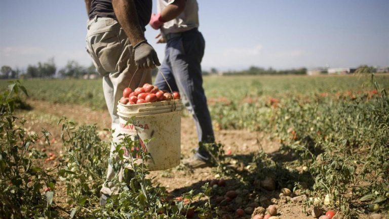 Immigrazione clandestina, 13 arresti tra Salerno ed Eboli: i nomi