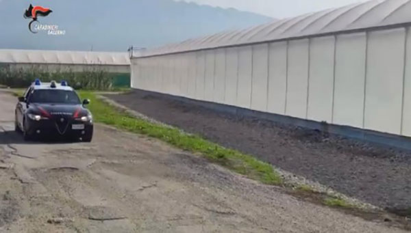 Blitz contro l’immigrazione clandestina, nei guai impiegati dei centri per l’impiego e datori di lavoro