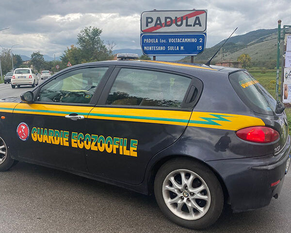 Terza operazione di Controllo benessere animali a Padula