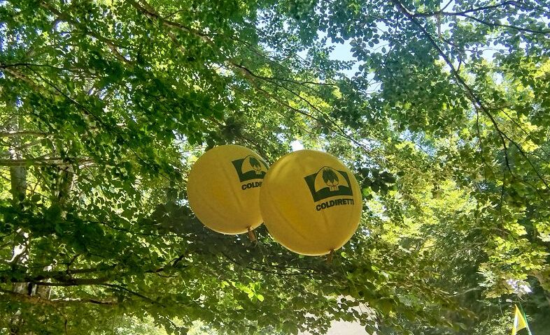 GIORNATA ALBERI: COLDIRETTI, BOSCHI SALGONO A RECORD 120MILA KM QUADRATI, IL 40% DELL’ITALIA