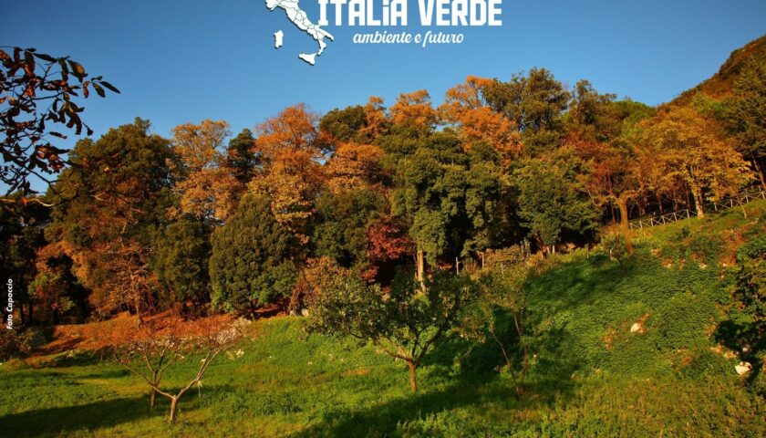 Campagna, Ambiente e Futuro: nasce “Italia Verde”