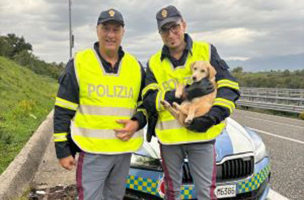 Eboli: la Polizia Stradale mette in salvo cucciolo che vagava in Autostrada