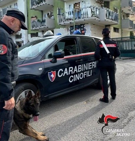 Salerno, controlli anti droga dei carabinieri nelle scuole