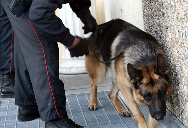 Amalfi, controlli dei carabinieri nelle scuole