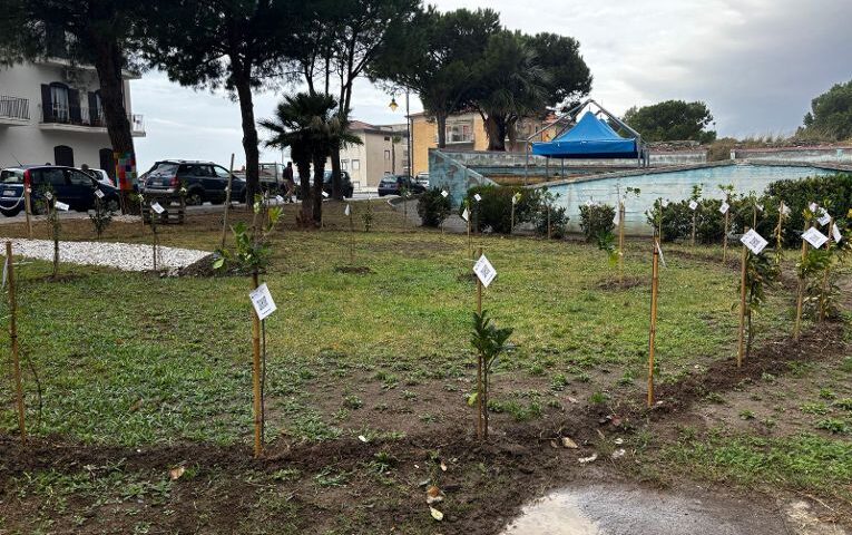 Fondazione Vassallo: “Nasce a Fuscaldo il primo parco della pace italiano, un tributo a Angelo Vassallo e a tutti i costruttori di pace”