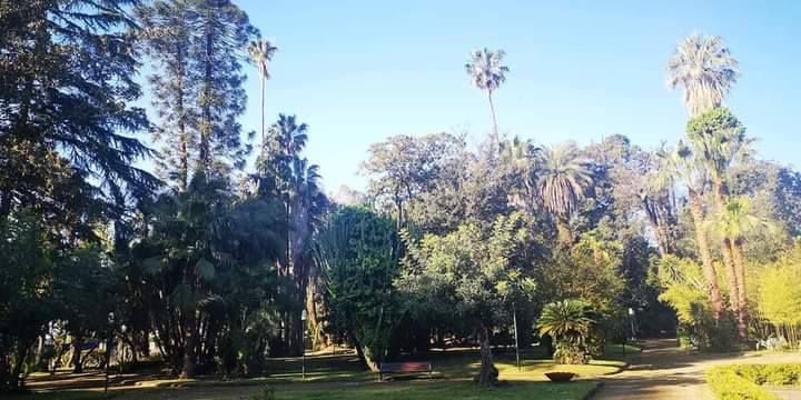 VILLA COMUNALE DI SCAFATI TRA PROMESSE E INCURIA, LA DENUNCIA DI SANTOCCHIO (FDI)