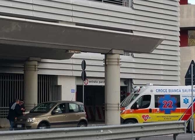 Università, cade un albero: paura e feriti nel Campus