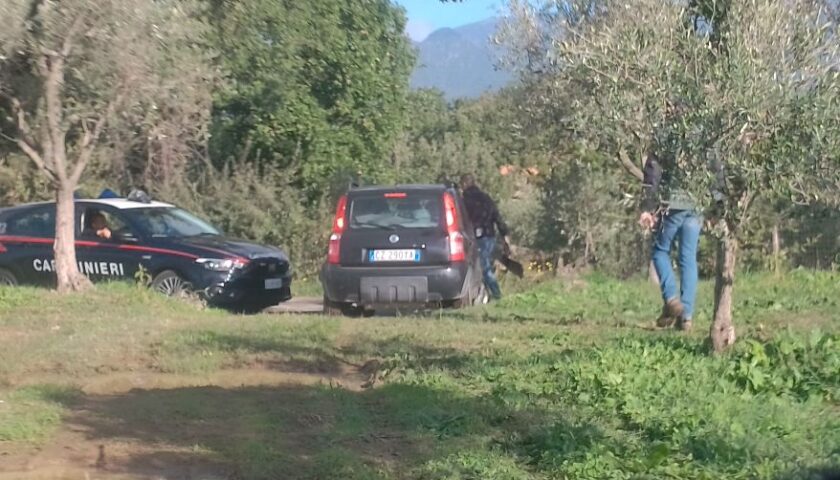 Serre: Carabinieri Forestale e Guardie Kronos denunciano cacciatore e sequestrano armi