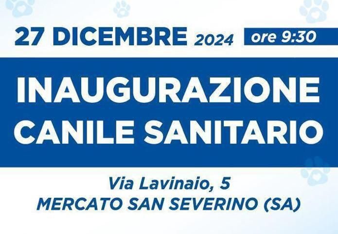 Mercato San Severino, venerdì inaugurazione del canile sanitario