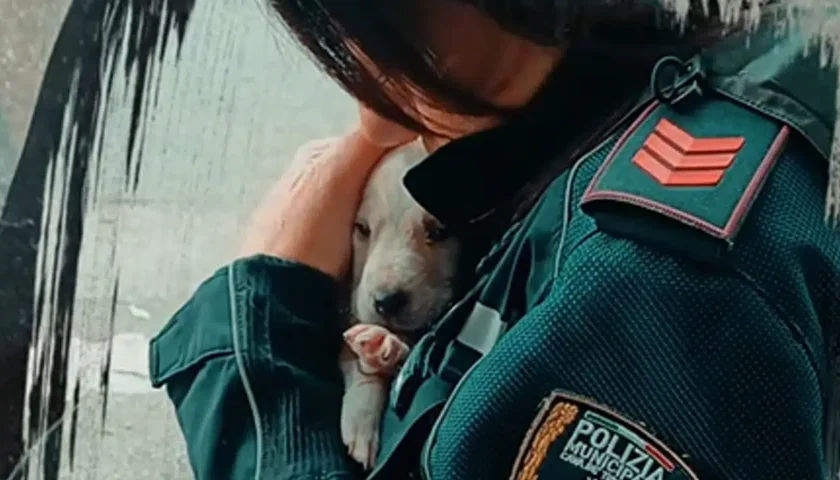 Lancia nel fiume due cagnolini: orrore a Cava de’ Tirreni