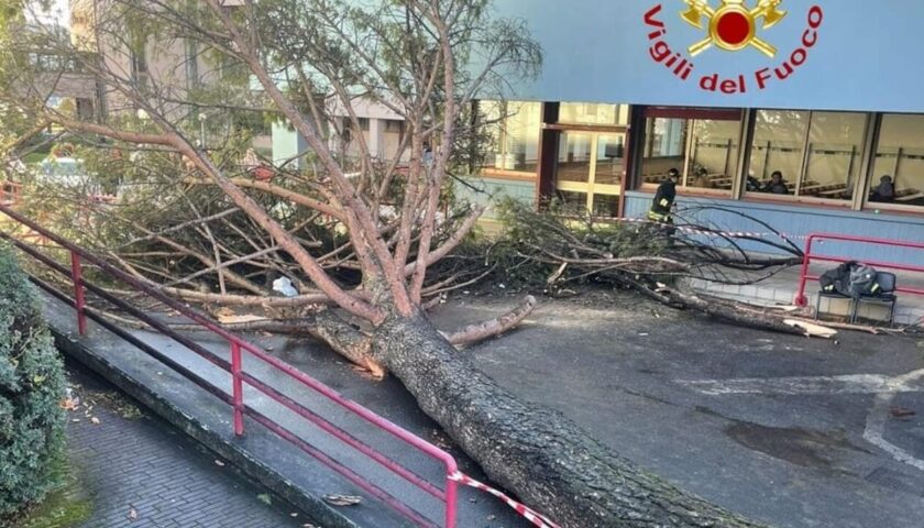 Travolto da albero caduto all’Università di Salerno, giovane lascia l’ospedale