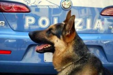 POLIZIA DI STATO: CAMPAGNA D’INFORMAZIONE E SENSIBILIZZAZIONE SULL’USO CORRETTO E CONSAPEVOLE DEI FUOCHI D’ARTIFICIO