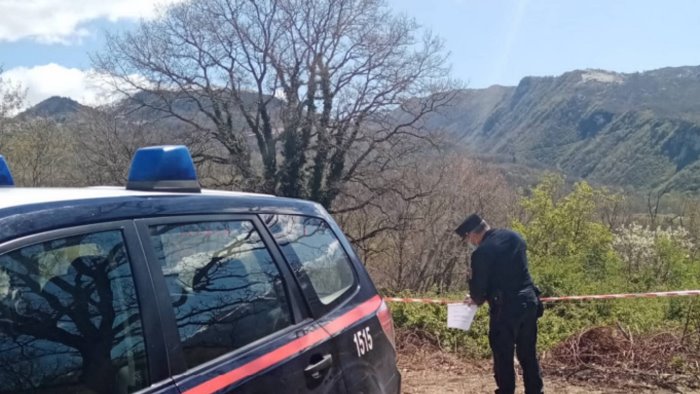Carabinieri forestali, un anno di operazioni