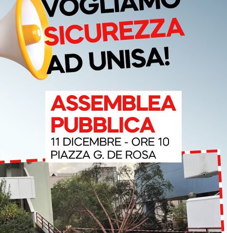Caduta albero all’Università, gli studenti: chiarezza dal Rettore