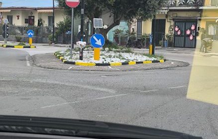 Emergenza blatte a Scafati, ordinanza del sindaco e controlli ai privati