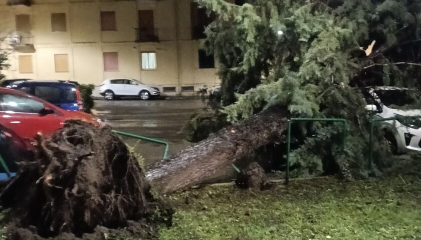 Salerno, sindaco e assessore illustrano il piano abbattimento alberi a rischio crolli