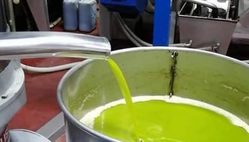 Furto nel frantoio a Giungano: ladri portano via quintali di olio extravergine
