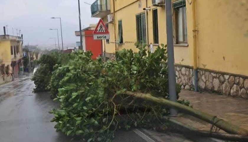 Sarno travolta dal vento forte: Sirica (Fratelli d’Italia) denuncia danni ingenti e polemiche sulla manutenzione