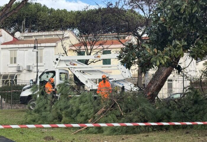 Salerno, taglio alberi a rischio crollo: 21 al parco Arbostella