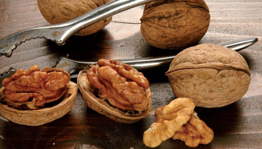 Frutta secca made in Campania, più tutela con l’etichetta trasparente