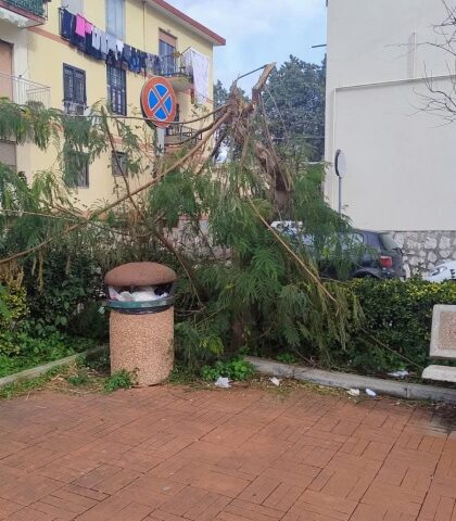 Scafati, furti e degrado in via Martiri d’Ungheria: la denuncia di Fratelli d’Italia