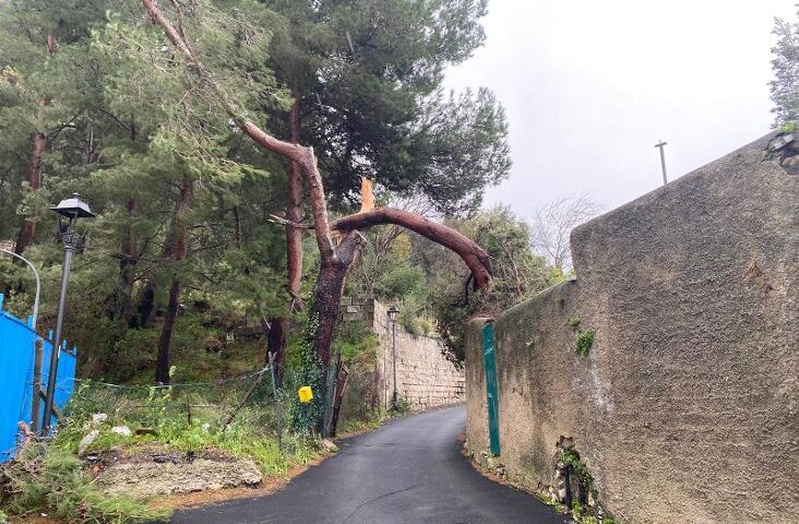 Sarno: richiesto Stato di calamità naturale dopo i danni causati dal forte vento
