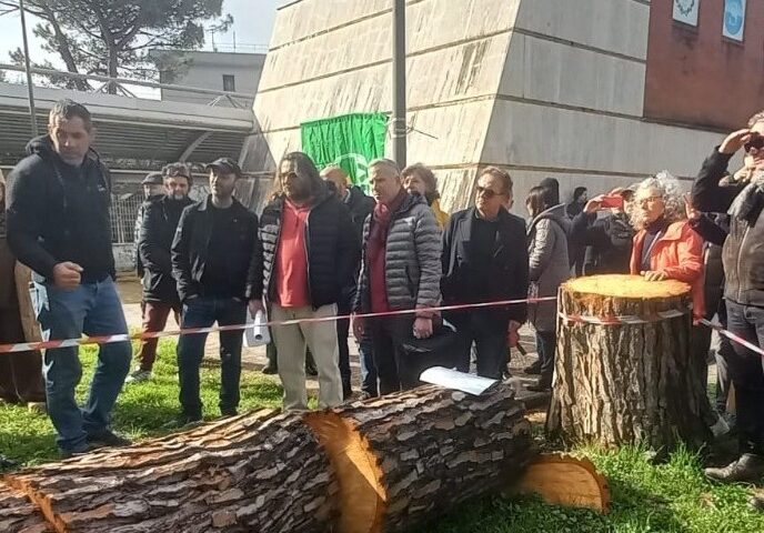 SALERNO, ALBERI ABBATTUTI ALL’ARBOSTELLA: PROTESTA ED ESPOSTO IN PROCURA