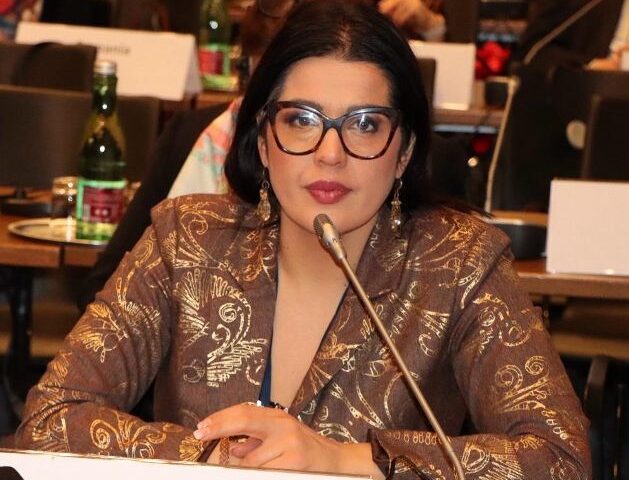 La senatrice Anna Bilotti alla riunione dell’Assemblea parlamentare dell’Osce