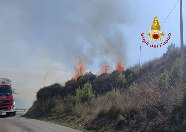 Incendi boschivi 2024: in provincia di Salerno denunciati 38 piromani