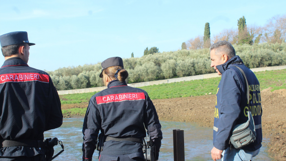 SEQUESTRATA AZIENDA ZOOTECNICA A CAPACCIO/PAESTUM PER SMALTIMENTO ILLECITO DI REFLUI
