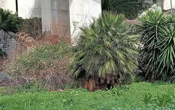 Salerno, Pessolano (Oltre): i giardini di via Ligea tra incuria e degrado, il Comune intervenga