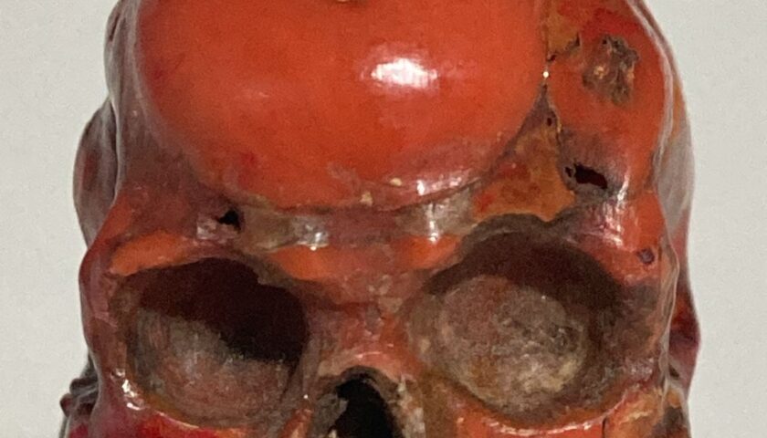 Dalla raccolta Sambiase: “Un raro teschio  smascellato in corallo”